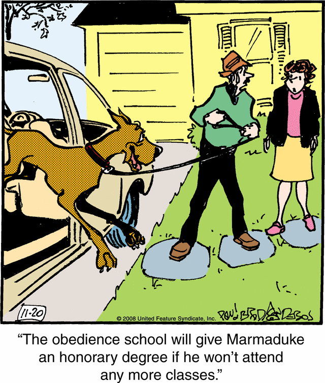 marmaduke